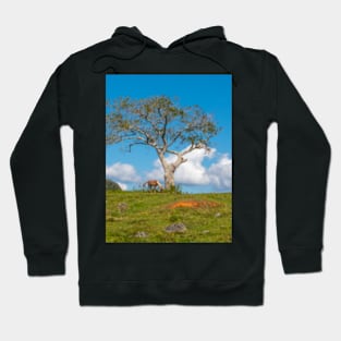 Single tree in Vinales Valley, Cuba Hoodie